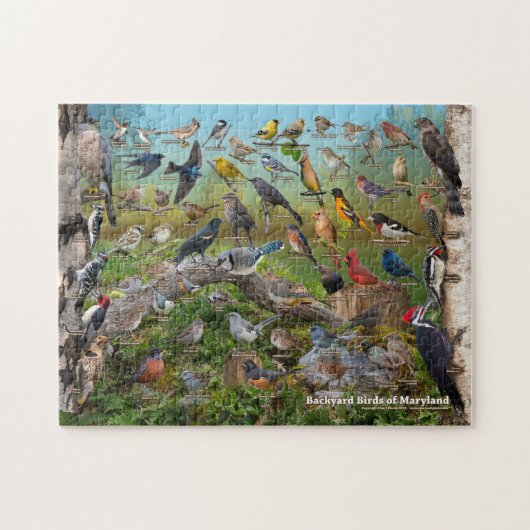 Achtergrond vogels van MAryland Legpuzzel (Horizontaal)