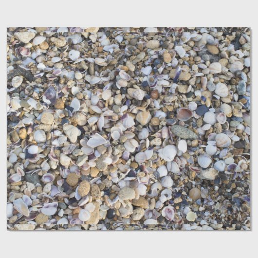 Achtergrond zeeshells cadeaupapier (Vlak)