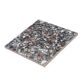 Achtergrond zeeshells tegeltje (Zijkant)