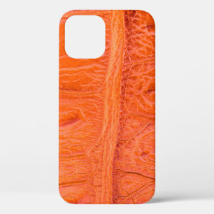 Achtergrondstructuur van de krokodilbuikhuid. Dit iPhone 12 Hoesje
