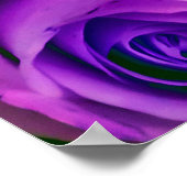 Achtergrondsymbool van de Valentijnsdag van de bun Poster (Hoek)