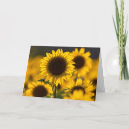 Achtergrondverlichting Zonnebloem Blank Note Kaart