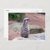 achterkant briefkaart (Voorkant / Achterkant)