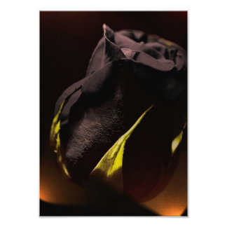 Achterkant Foto Afdruk