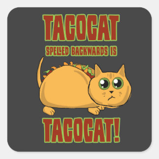 Achterkant tacocat is... vierkante sticker