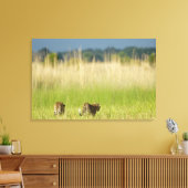 Achterkant uitzicht van Leopard (Panthera pardus)  Canvas Afdruk (Insitu (Woonkamer))