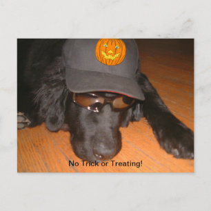 Achterkant van deze halloween briefkaart