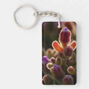 Achterlicht Kleurrijke Succulente Bloemknop Met Ra Sleutelhanger