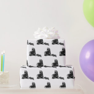 Achterste camera met film cadeaupapier