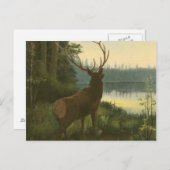 Achterste uitzicht van Elk die over een meer kijkt Briefkaart (Voorkant / Achterkant)