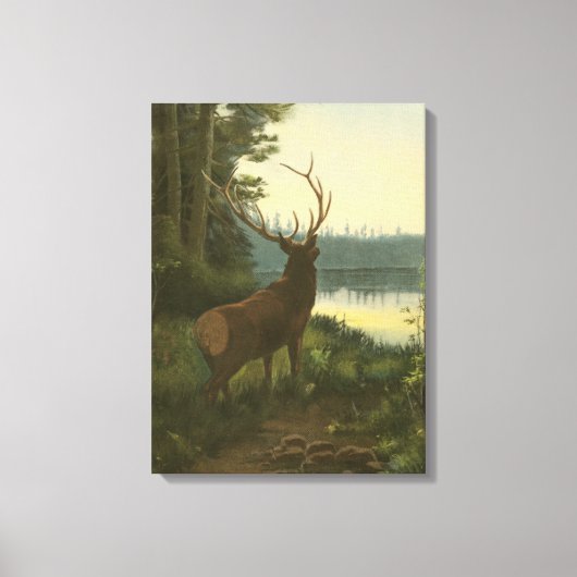 Achterste uitzicht van Elk die over een meer kijkt Canvas Afdruk (Voorkant)