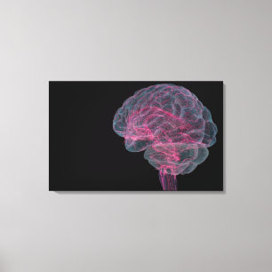 Achterste uitzicht van het menselijk brein canvas afdruk