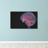 Achterste uitzicht van het menselijk brein canvas afdruk (Insitu (Houten vloer))