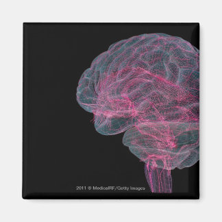 Achterste uitzicht van het menselijk brein magneet