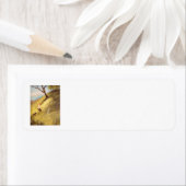 Achtertuin avontuur etiket (Insitu)