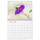 Achtertuin Beauty Kalender (Feb 2026)