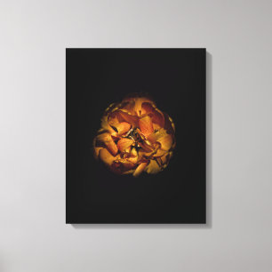 Achtertuin Bloemen 80 Kleur Versie Canvas Afdruk