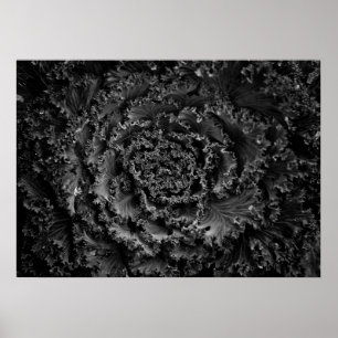 Achtertuin Bloemen In Zwart En Wit Nr 107 Poster