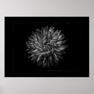 Achtertuin Bloemen In Zwart En Wit Nr 20 Rand Poster