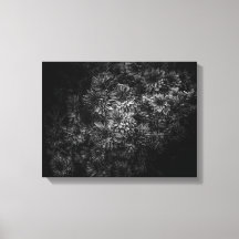 Achtertuin Bloemen In Zwart En Wit Nr 29
