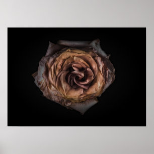 Achtertuin Bloemen No 139 Kleurenversie Poster