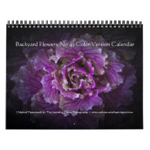 Achtertuin Bloemen No 42 Kleur Versie