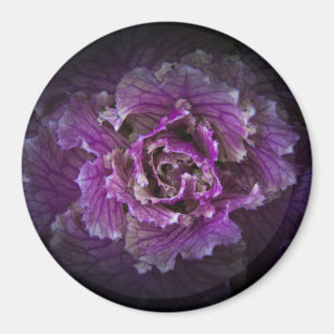 Achtertuin Bloemen No 42 Kleur Versie Magneet