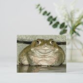 Achtertuin Bufo alvarius - Colorado River Toad Briefkaart (Staand voorkant)