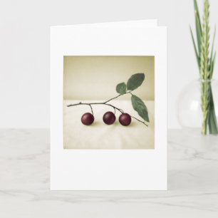 Achtertuin Cherry Pruimen Foto Schilderen Wenskaar Kaart
