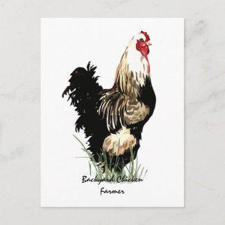 Achtertuin kippenboer met roosterontwerp briefkaart