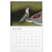 Achtertuin Kolibries 11 "x 14.25" Kalender (Jan 2026)