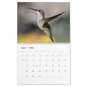 Achtertuin Kolibries 11 "x 14.25" Kalender (Mar 2026)