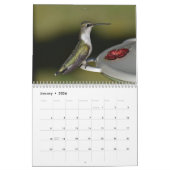 Achtertuin Kolibries 8,5 "x 11" Kalender (Jan 2026)