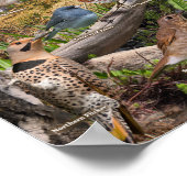 Achtertuin van het Poster van Manitoba (Hoek)