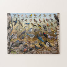 Achtertuin van Montana