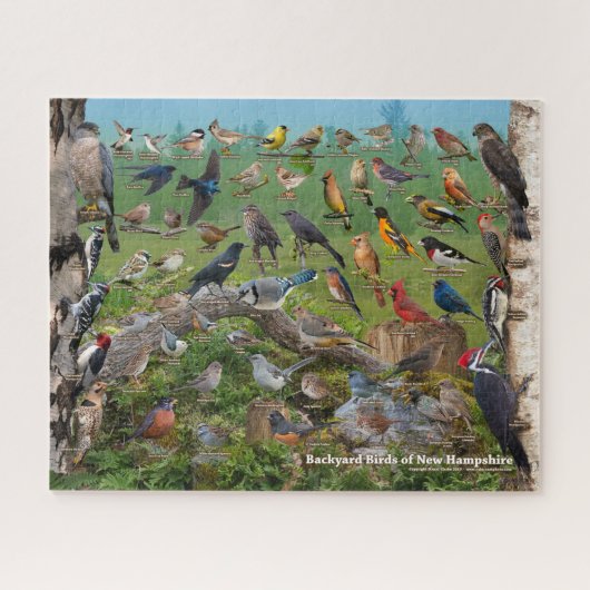 Achtertuin van New Hampshire Legpuzzel (Horizontaal)