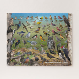 Achtertuin vogels in North Dakota Legpuzzel
