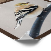 Achtertuin vogels in sneeuw poster (Hoek)