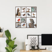 Achtertuin vogels in sneeuw poster (Thuiskantoor)