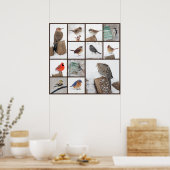 Achtertuin vogels in sneeuw poster (Keuken)