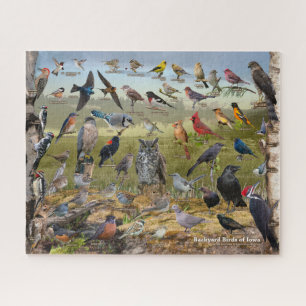 Achtertuin vogels Iowa Legpuzzel
