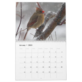 Achtertuin vogels kalender