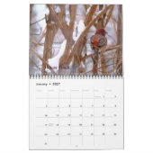 Achtertuin vogels kalender (Jan 2027)