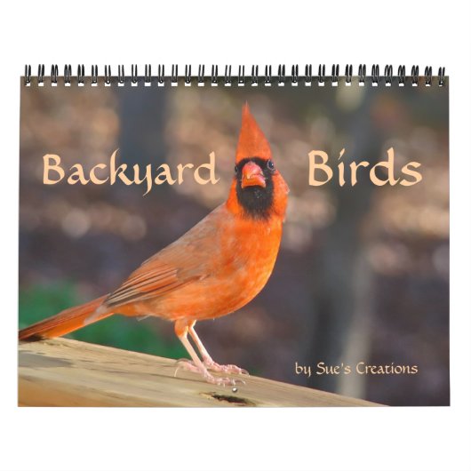 Achtertuin vogels kalender (Hoes)