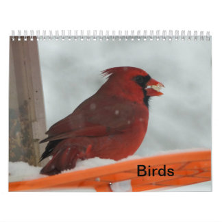 Achtertuin vogels kalender