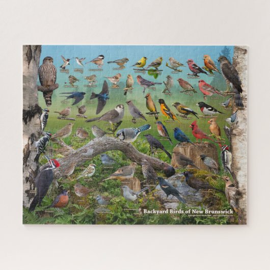 Achtertuin vogels New Brunswick Legpuzzel (Horizontaal)