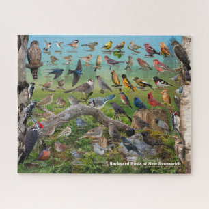 Achtertuin vogels New Brunswick Puzzle Legpuzzel