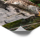 Achtertuin vogels New York Large Poster (Hoek)