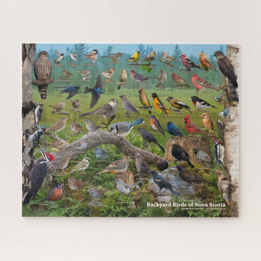 Achtertuin vogels Nova Scotia Puzzle Legpuzzel (Horizontaal)