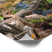 Achtertuin vogels van het Poster van Minnesota (Hoek)
